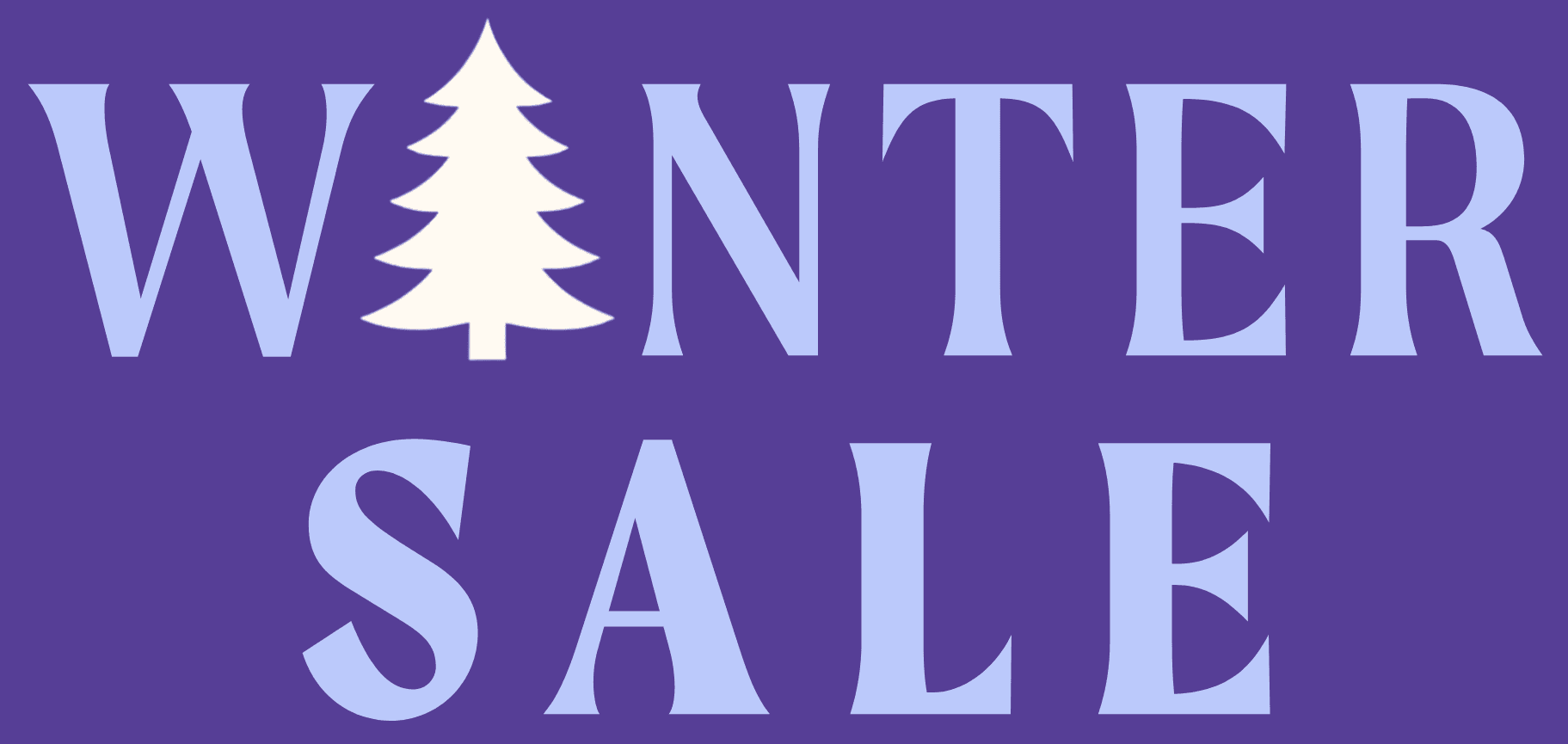 Winter sale banner