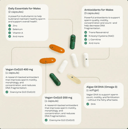 Males Ingredients Infographic