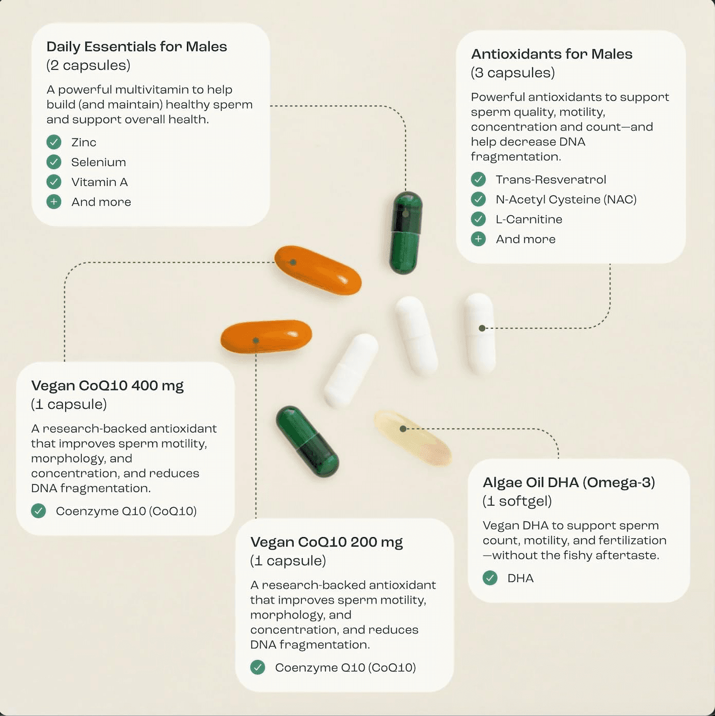 Males Ingredients Infographic