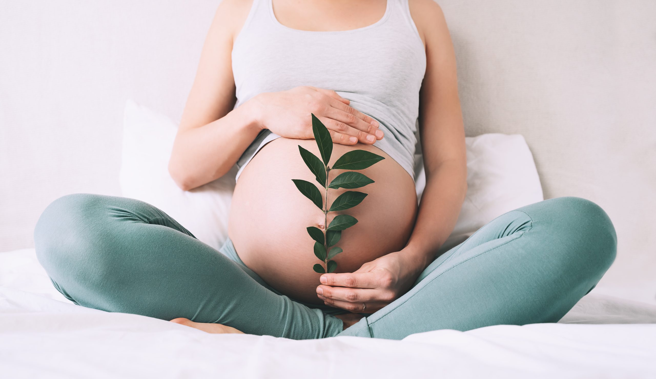 pregnant-woman-holds-green-sprout-near-her-belly